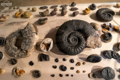 KOL_Ecco_Museum_007
