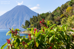 GUA_Atitlan_005