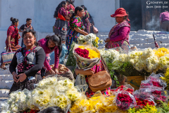 GUA_Mercato_004
