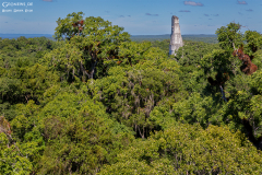 GUA_Tikal_012