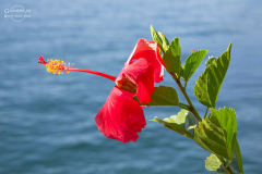 GUA_Atitlan_007