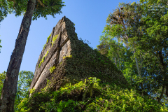 GUA_Tikal_006
