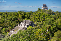 GUA_Tikal_009