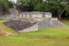 HOND_Copan_006
