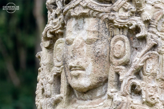 HOND_Copan_012