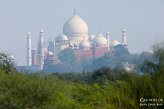IND_Agra_019