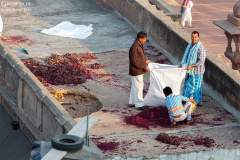 IND_Dehli_019