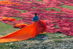 IND_Agra_009