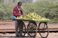IND_Agra_014