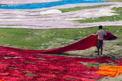 IND_Agra_010