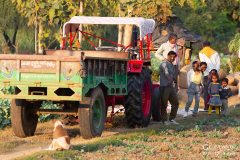IND_Agra_022