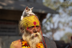 IND_Agra_024