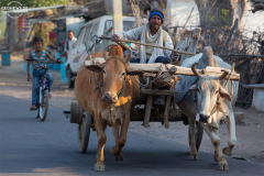 IND_Agra_People_005