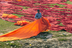 IND_Agra_People_009