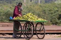 IND_Agra_People_010