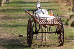 IND_Agra_People_011