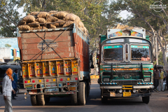 IND_Agra_People_004
