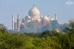 IND_Agra_Taj-Mahal_011