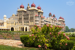 IND_mysuru_017