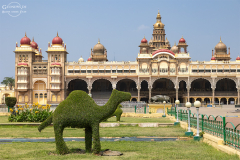 IND_mysuru_019