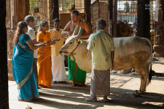 IND_Trichy_Amma-Mandapam_002