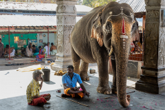 IND_Trichy_Amma-Mandapam_003