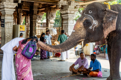 IND_Trichy_Amma-Mandapam_004