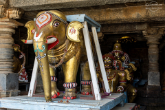 IND_Beluru_015