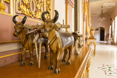 IND_Bikaner_BHANWAR_004