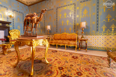 IND_Bikaner_BHANWAR_006