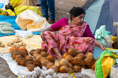 IND_Mysuru_Devaraja_002