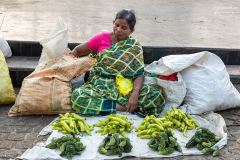 IND_Mysuru_Devaraja_004