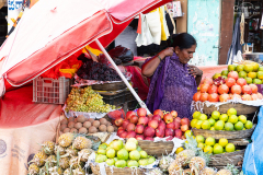 IND_Mysuru_Devaraja_007