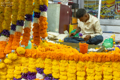 IND_Mysuru_Devaraja_008