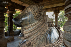 IND_Halebibu_014