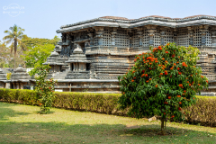 IND_Halebibu_015