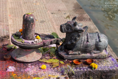 IND_Haridwar_030