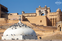 IND_JAI_Fort-Amber_004