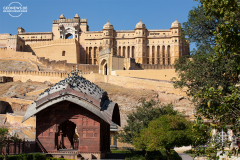 IND_JAI_Fort-Amber_005