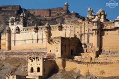 IND_JAI_Fort-Amber_006