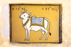 IND_Jai_Mantar_011