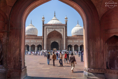 IND_Dehli_Moschee_005