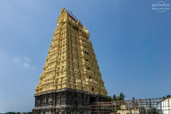 IND_Kanchipuram_002