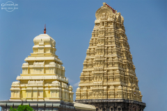 IND_Kanchipuram_005