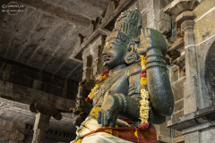 IND_Kanchipuram_008