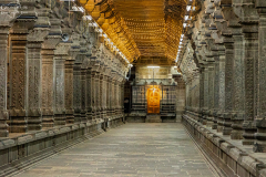 IND_Kanchipuram_010