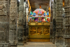 IND_Kanchipuram_012
