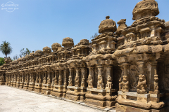 IND_Kanchipuram_019