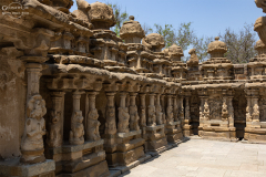 IND_Kanchipuram_021