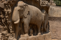 IND_Mamallapuram_003